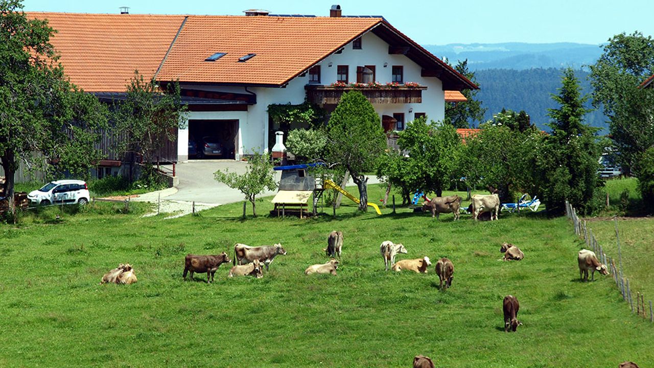 Ferienhof Fehr Stiefenhofen Ferienhof Fehr Stiefenhofen